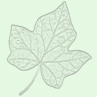 Ivy Biosciences logo